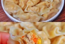 猪肉玉米饺子馅的做法视频大全-猪肉玉米饺子馅的做法视频