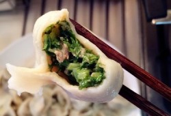 大白菜水饺馅的做法 茼蒿怎么包饺子