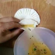  饺子皮加盐和鸡蛋「饺子皮加盐和鸡蛋的做法」