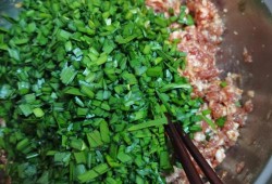  韭菜和肉馅饺子的做法「韭菜肉馅饺子的做法视频」