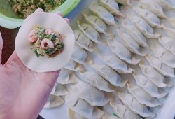 猪肉虾仁荠菜水饺