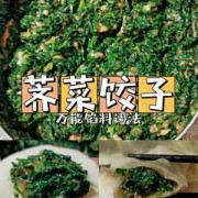 野菜肉饺子-野菜猪肉水饺