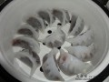 朝鲜族豆沙小饺子的做法视频 朝鲜族豆沙馅料饺子