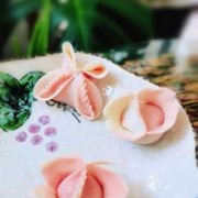 蝴蝶饺子制作视频教程全集_蝴蝶饺的做法