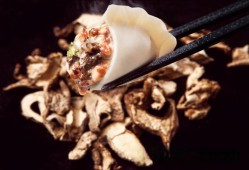 台蘑水饺的做法大全_台蘑饺子馅怎么做好吃