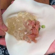 猪皮冻饺子馅的做法视频（猪皮冻水饺）