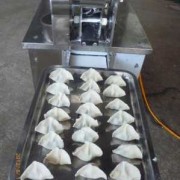 做冻饺子设备「小型速冻饺子厂需要什么机器」