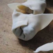 水饺皮包混沌,饺子皮包馄饨的包法视频教程 
