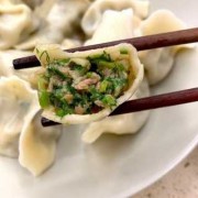  怎样做茴香馅饺子视频教程「茴香怎么做饺子好吃」