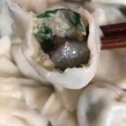 海参牛肉饺子-海参牛肉水饺