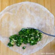 韭菜饺皮怎样做好吃 饺子皮同韭菜如何做饼