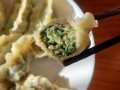  扫帚菜饺子怎么做「扫帚菜包饺子的做法」