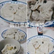 洋白菜肉饺子的做法-洋白菜饺子热量