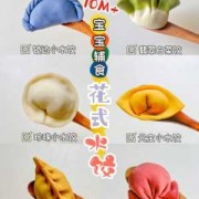  八个月宝宝饺子做法图解「8个月宝宝饺子怎么包」