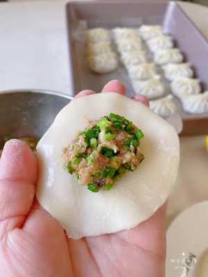 韭菜香菇肉速冻水饺（香菇韭菜大肉饺子的做法）  第1张