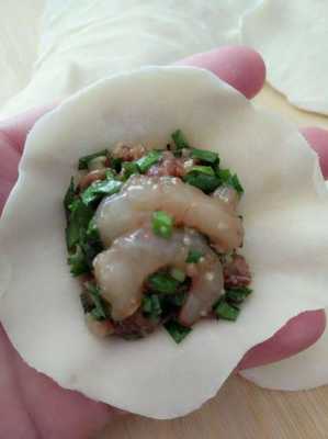  韭菜猪肉鲜虾饺子馅的做法「韭菜猪肉虾饺子馅的做法窍门」 第2张