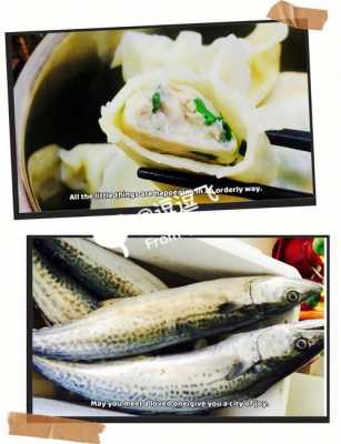 鲅鱼肉水饺  第1张
