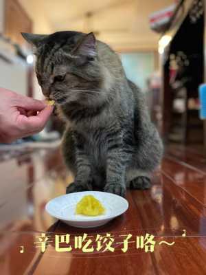 猫咪吃饺子没事吧  第1张