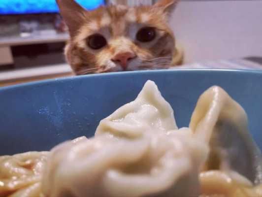 猫咪吃饺子没事吧  第2张
